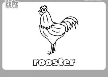 Rooster Coloring Page